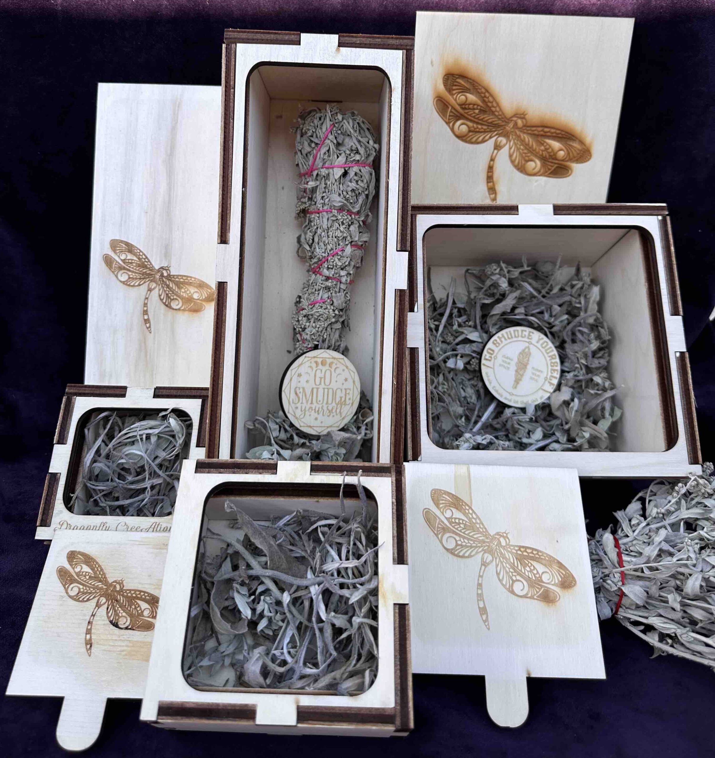 Dragonfly Boxes Display